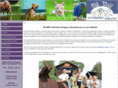oldmillvet.com
