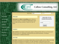 callowconsulting.com