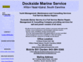 docksidemarineservice.com