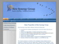 newsynergyconsulting.com