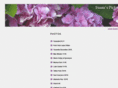 svalladao.com