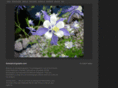amesphotographs.com