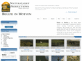 belizeinmotion.com