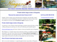 msniagara.com