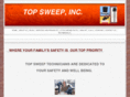 professionalchimneysweep.org