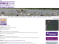 purpleswimbaltimore.org