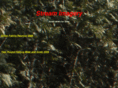 streamimagery.com