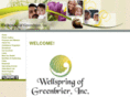 wellspringofgreenbrier.com