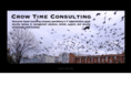 crowtimeconsulting.com