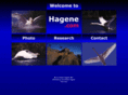 hagene.com