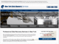 nyraidrecovery.com