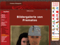 prematos.com