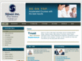 sijison.com