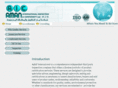 amaninspection.com