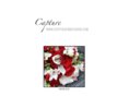 capture-weddings.com