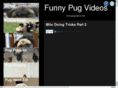 funnypugvideos.com