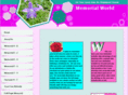 memorialworld.net