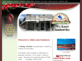 alderlakecranberry.com