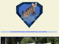 mtsapphirebengals.com