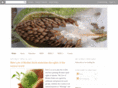 seedtaos.org