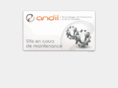 andilsystem.net