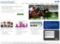 connect2consult.com