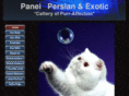 paneicat.com