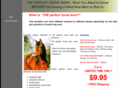 horizonhorsebarns.com