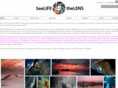 seelifethroughthelens.com