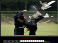 zdhtkd.com