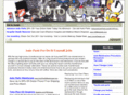 autopartsinfoandnews.com