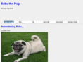 bubuthepug.com
