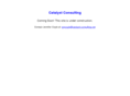 catalyst-consulting.net
