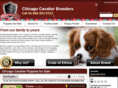 chicagocavalierbreeders.com