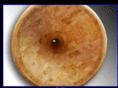 elevenhorns.com