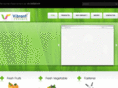 vibrantexport.com