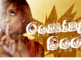 broadwaywarrior.com