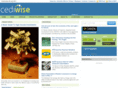 cediwise.com