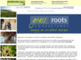 grassrootsconsultancy.com