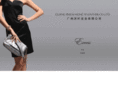 hongye-handbags.com