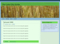 plattsburghlakecity.com