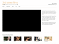 michigan-wedding-videography.com