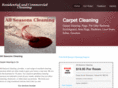 allseasonscleaning.net