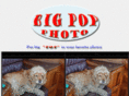 bigpopphoto.com