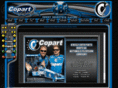 budkingracing.com