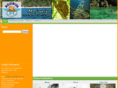 majumiantravel.com