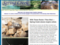 springcreekok.org