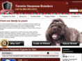 torontohavanesebreeders.com