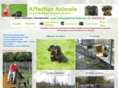 affection-animale.com