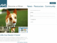 avenuek9.com